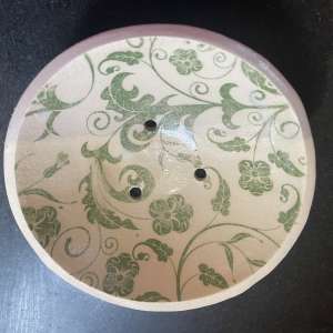 Green Shampoo Bar Dish