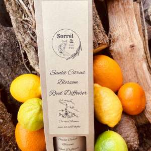 Sunlit Citrus Blossom Reed Diffuser
